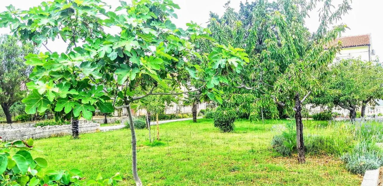 Apartmán Palma Vrsi