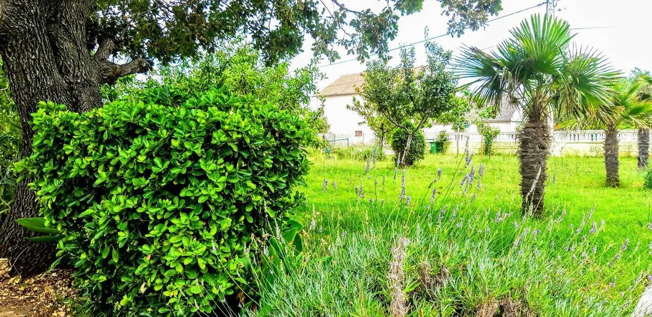 Apartmán Palma Vrsi