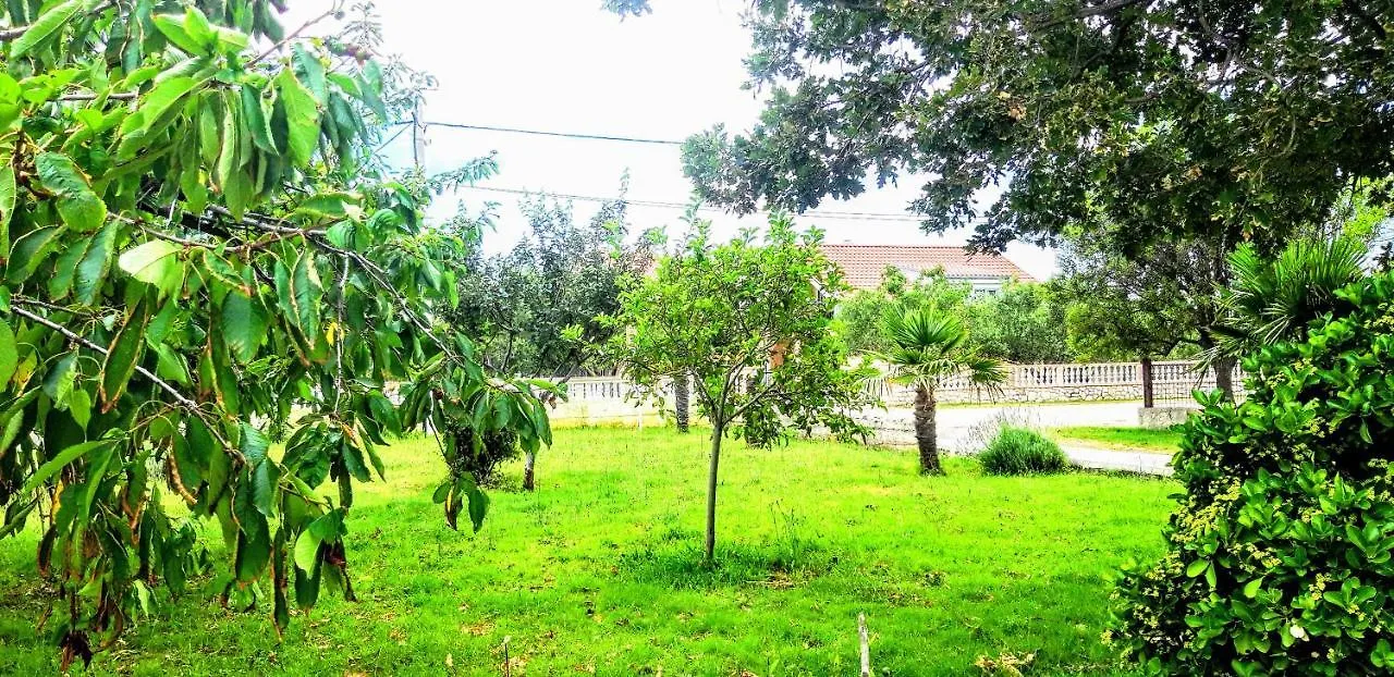 Apartmán Palma Vrsi 0*,
