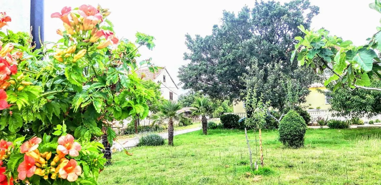 Apartmán Palma Vrsi
