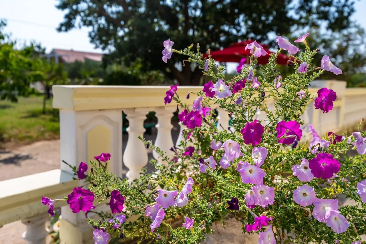 Apartmán Palma Vrsi
