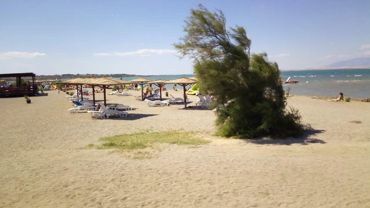 Apartmán Palma Vrsi